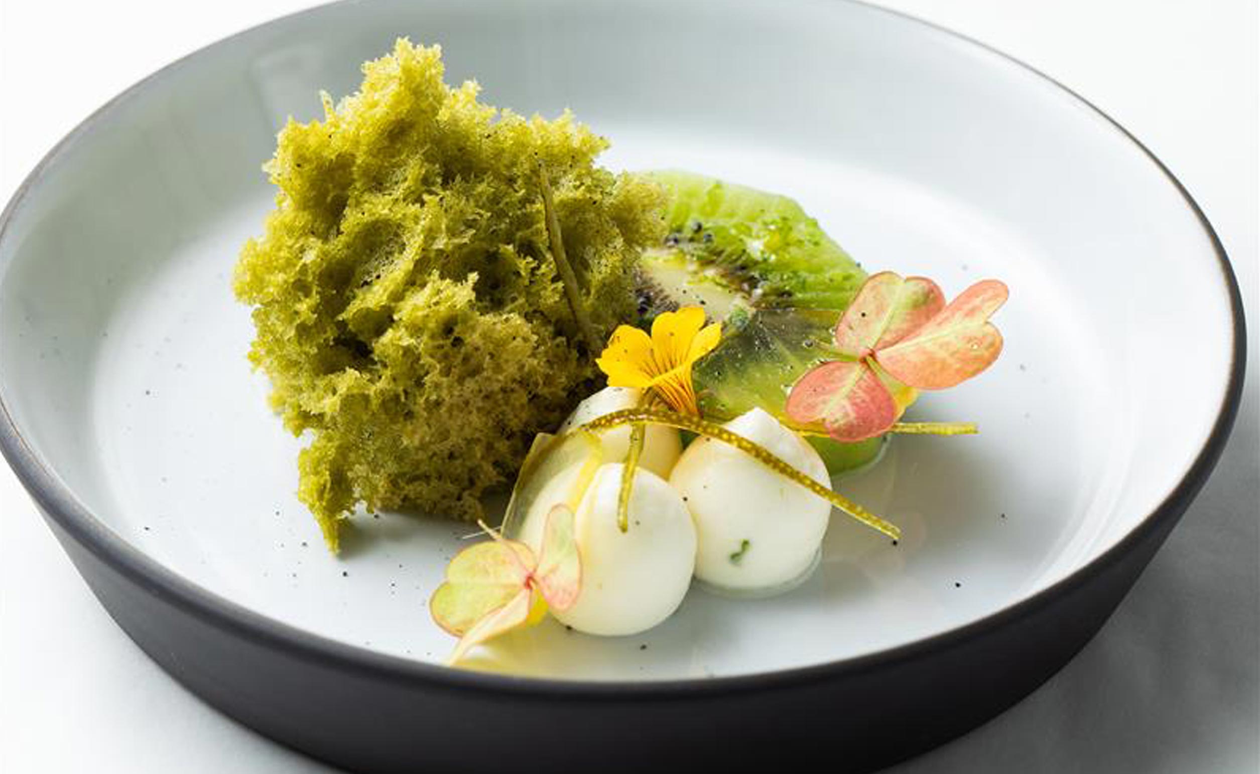 An exquisitely-composed plate of food at The French Laundry