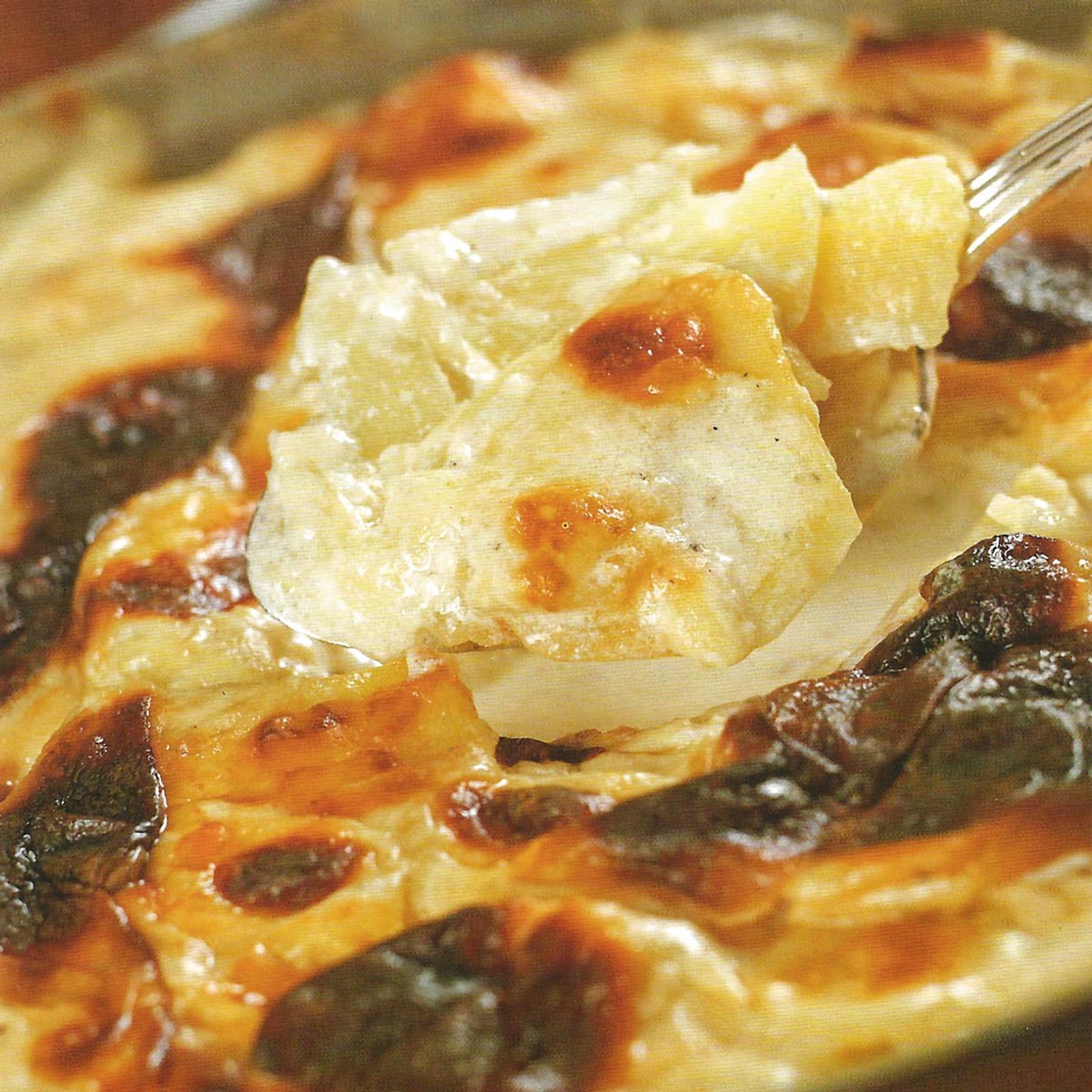 Gratin Dauphinois