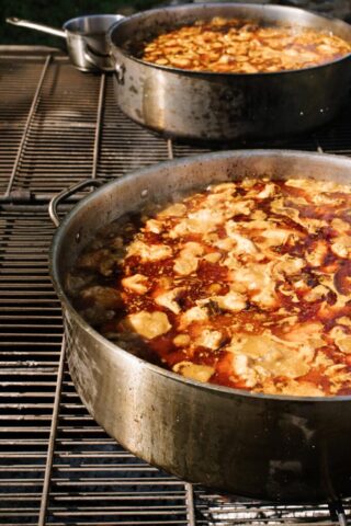 2025.06.25-_StoneAcresFarm_JPF_Catherine-Dzilenski_@cathdiz-0834