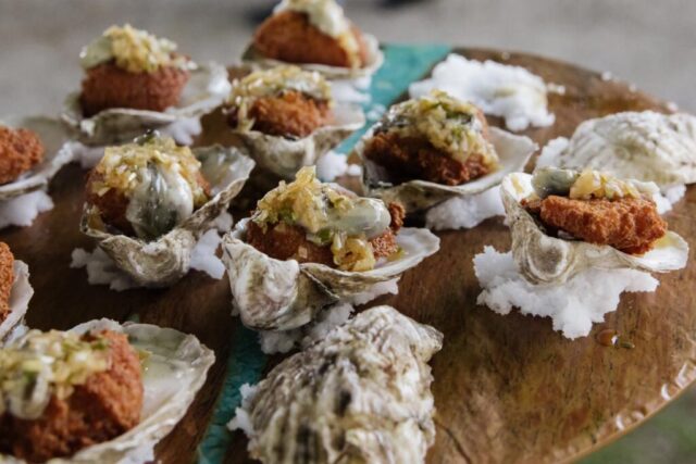 2025.06.25-_StoneAcresFarm_JPF_Catherine-Dzilenski_@cathdiz-0953-2