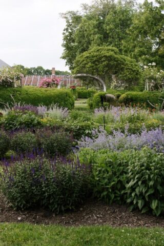 2025.06.25-_StoneAcresFarm_JPF_Catherine-Dzilenski_@cathdiz-1256