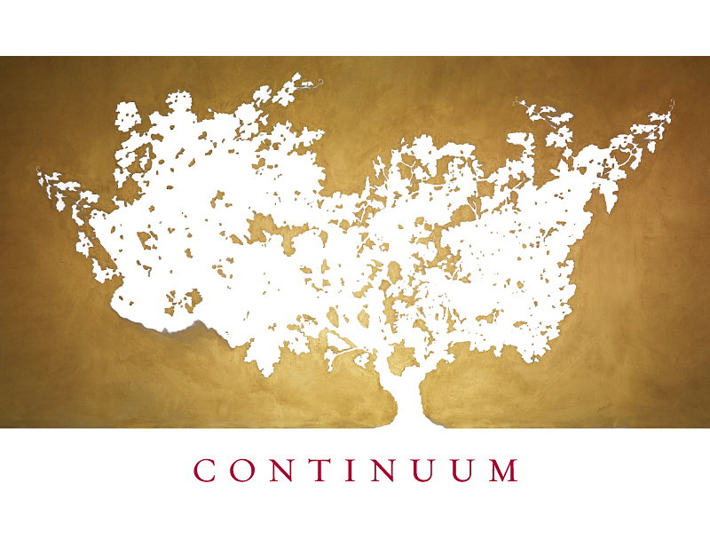 Continuum wines logo
