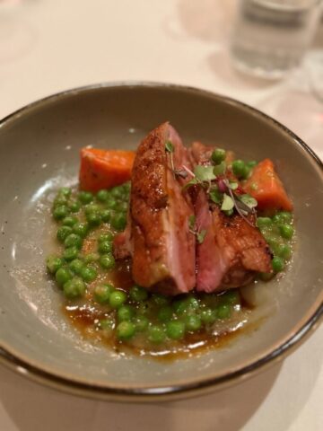 2025.04.27_Yonos_IMG_8214