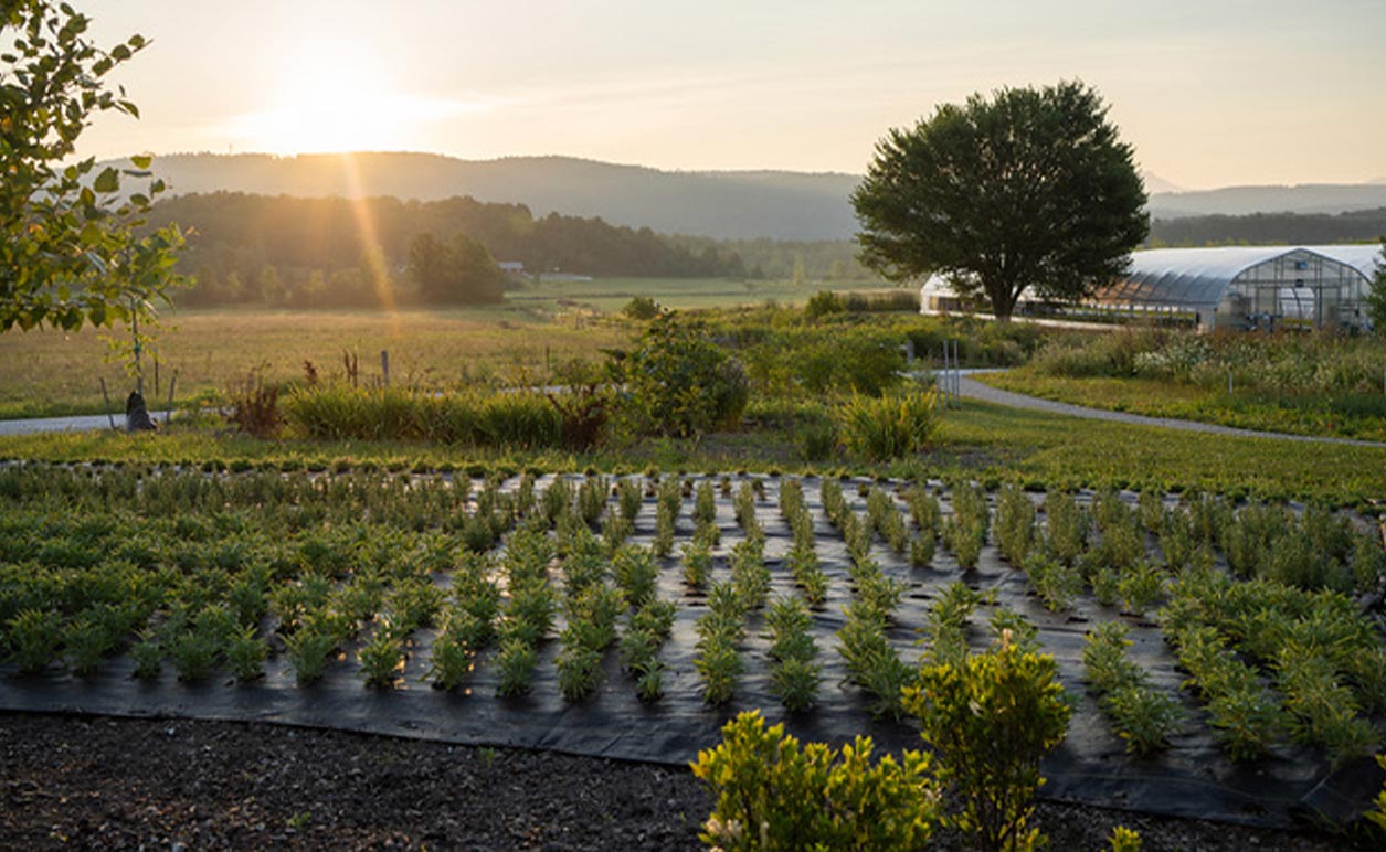 Red Wagon Plants, exterior