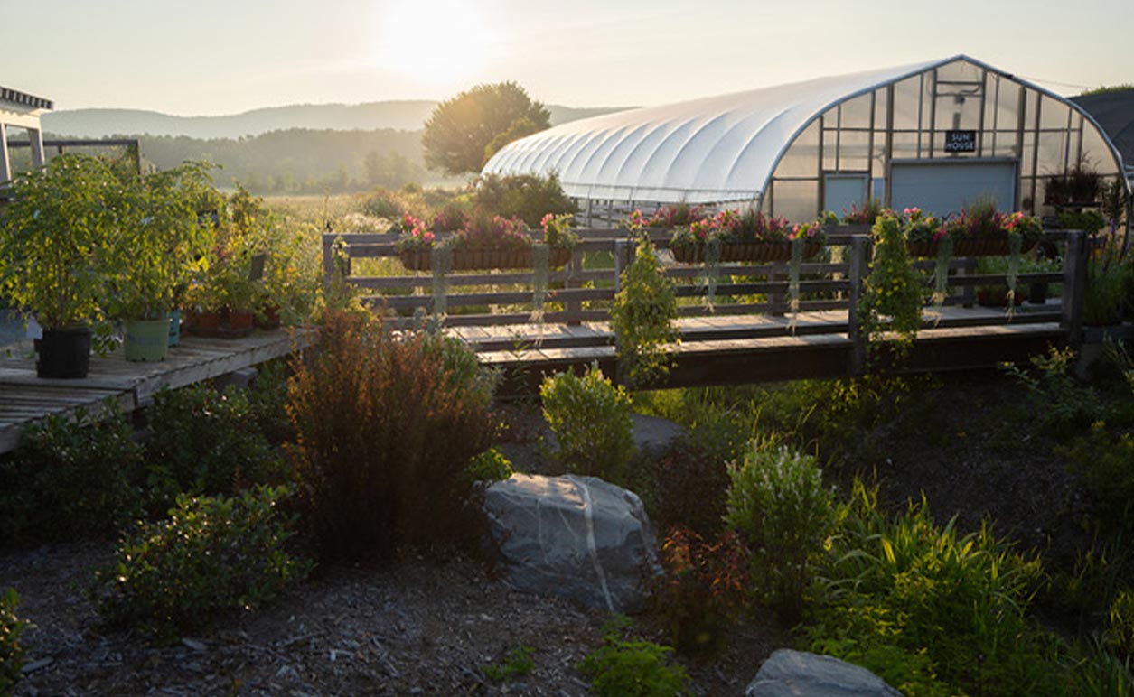 Red Wagon Plants, exterior