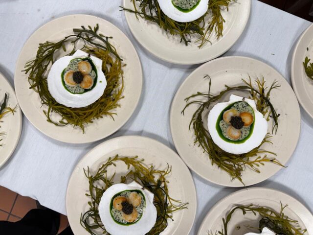 2025.11.20.Massara.IMG_0557-Hannah